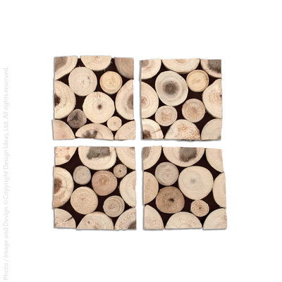 Branch™ Coasters (set of 4)