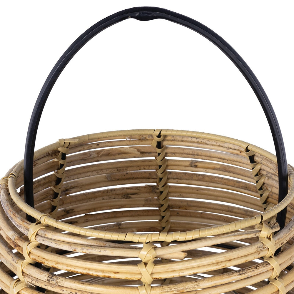 
                      
                        Monica Bamboo Hurricane
                      
                    