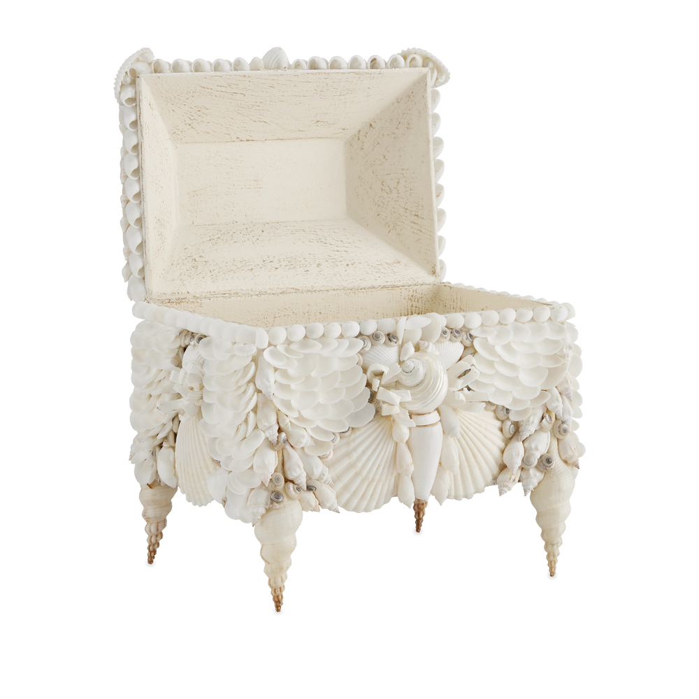 
                      
                        Boardwalk White Shell Jewelry Box.
                      
                    