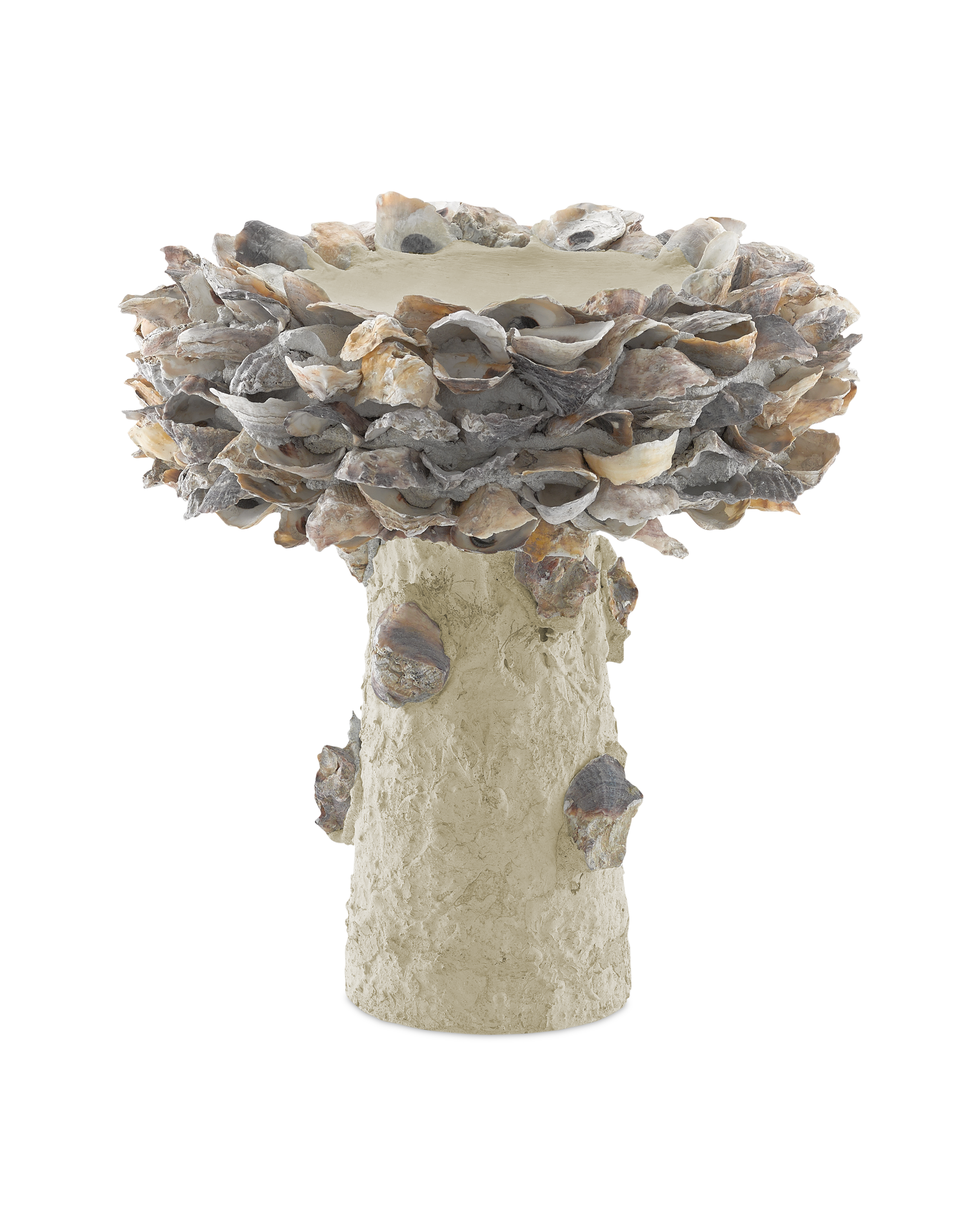 Oyster Shell Small Bird Bath - Thumbnail 3