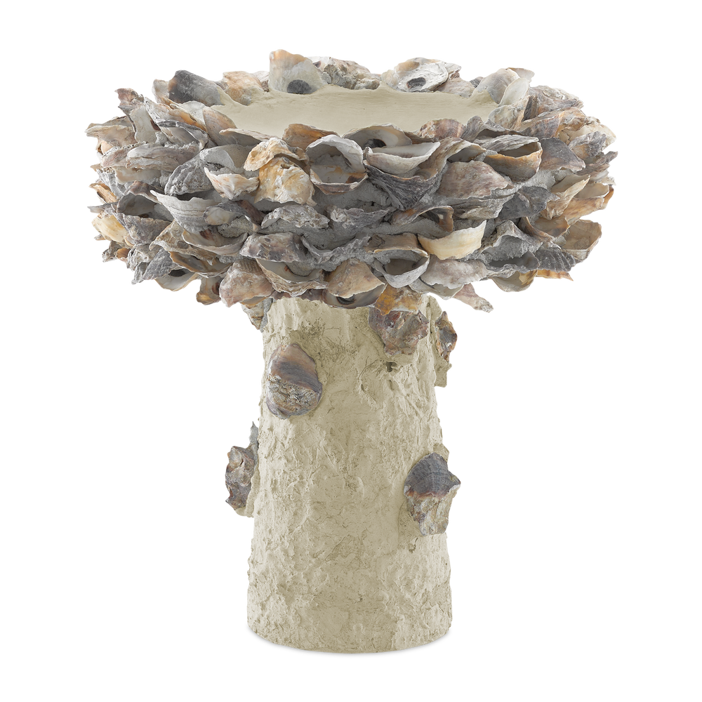 
                      
                        Oyster Shell Small Bird Bath.
                      
                    