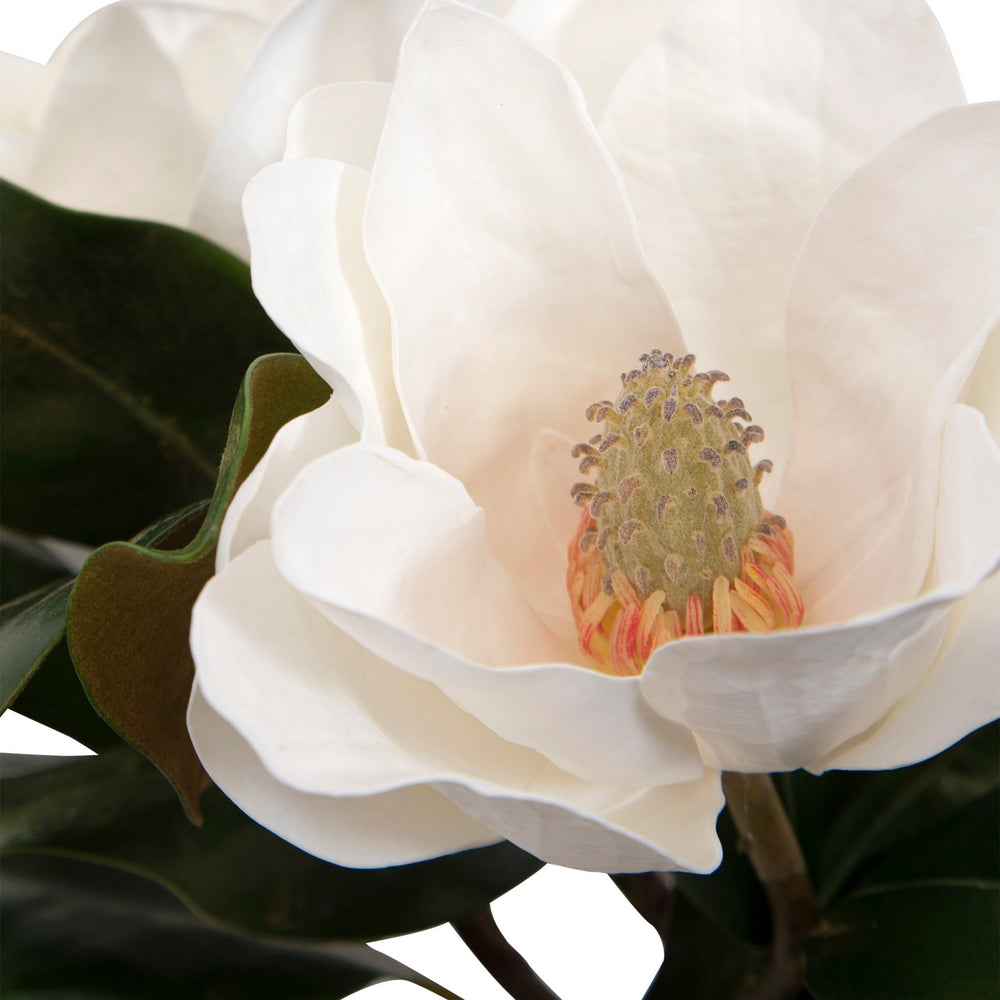 
                      
                        Middleton Magnolia Flower Centerpiece - #shop_name Accessories
                      
                    