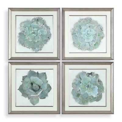 Natural Beauties Framed Prints (Set of 4)