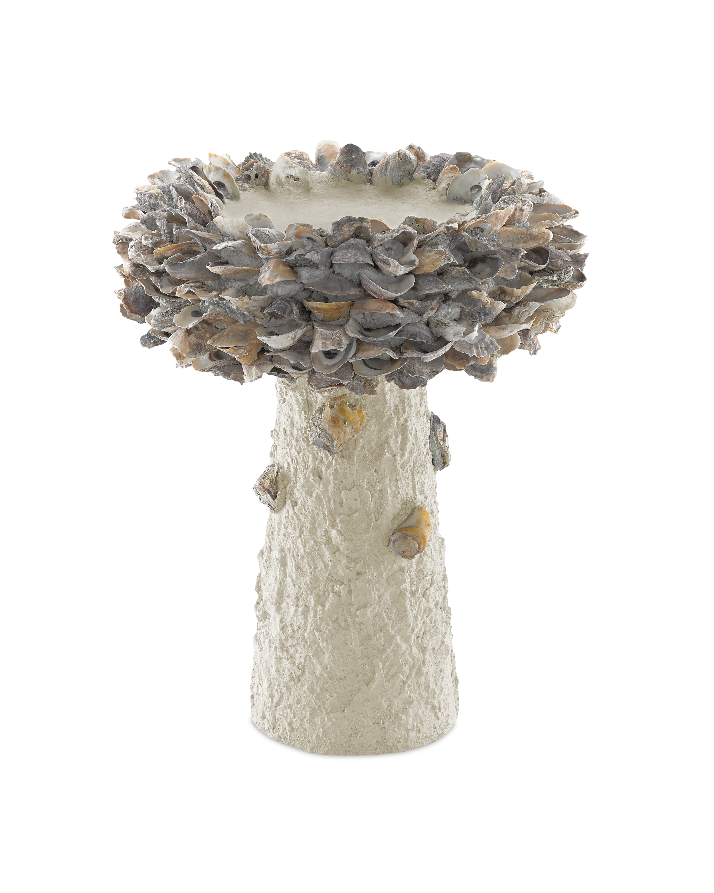 Oyster Shell Medium Bird Bath - Thumbnail 2