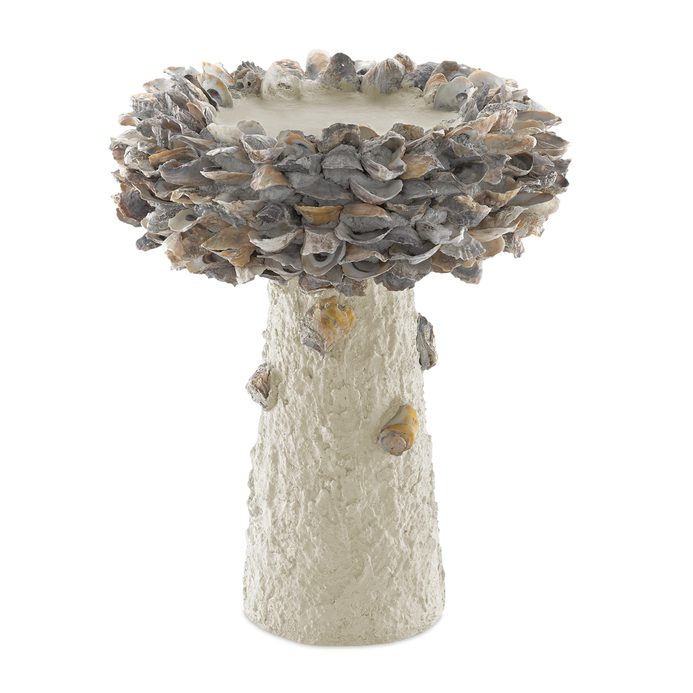 
                      
                        Oyster Shell Medium Bird Bath.
                      
                    