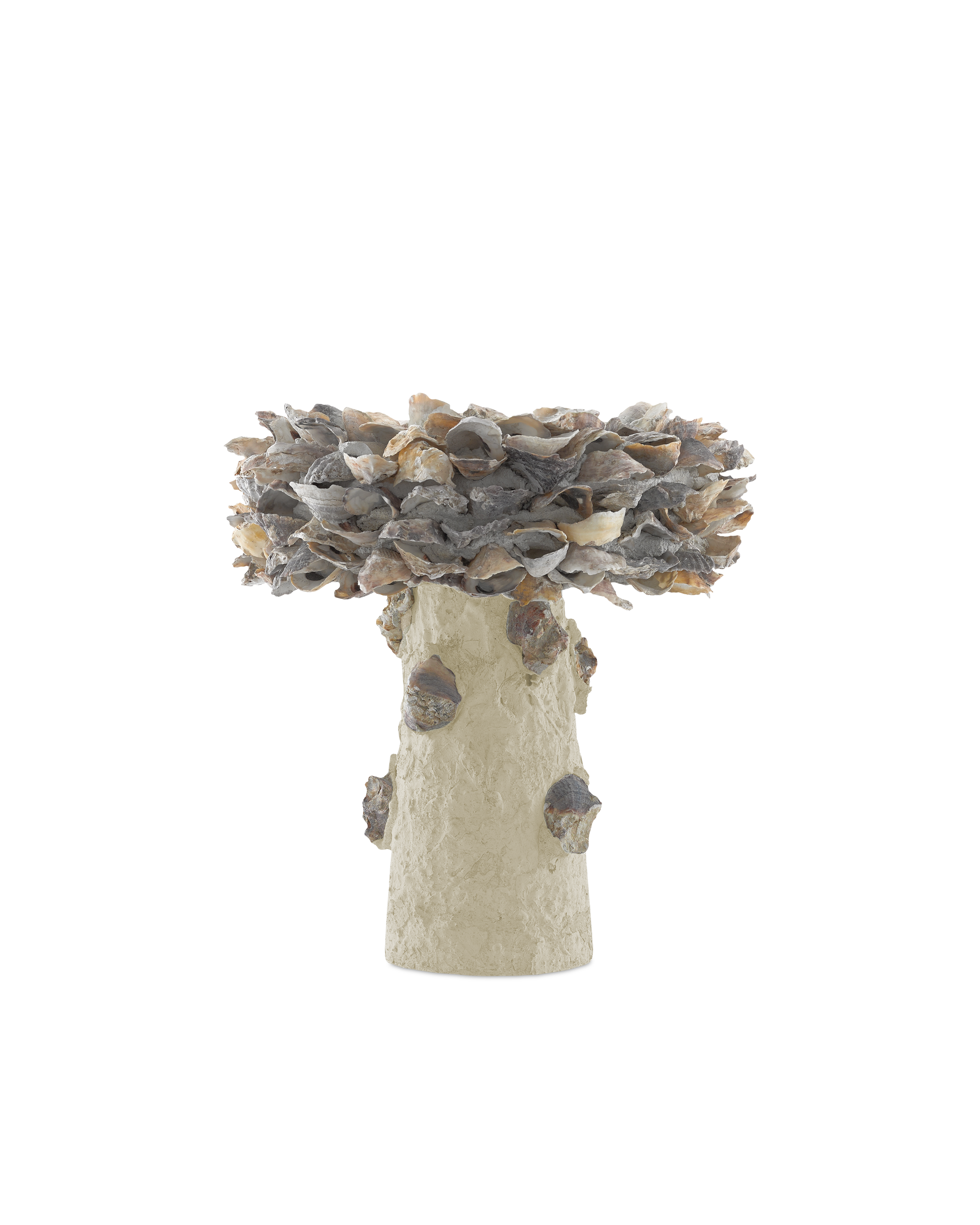 Oyster Shell Small Bird Bath - Thumbnail 2
