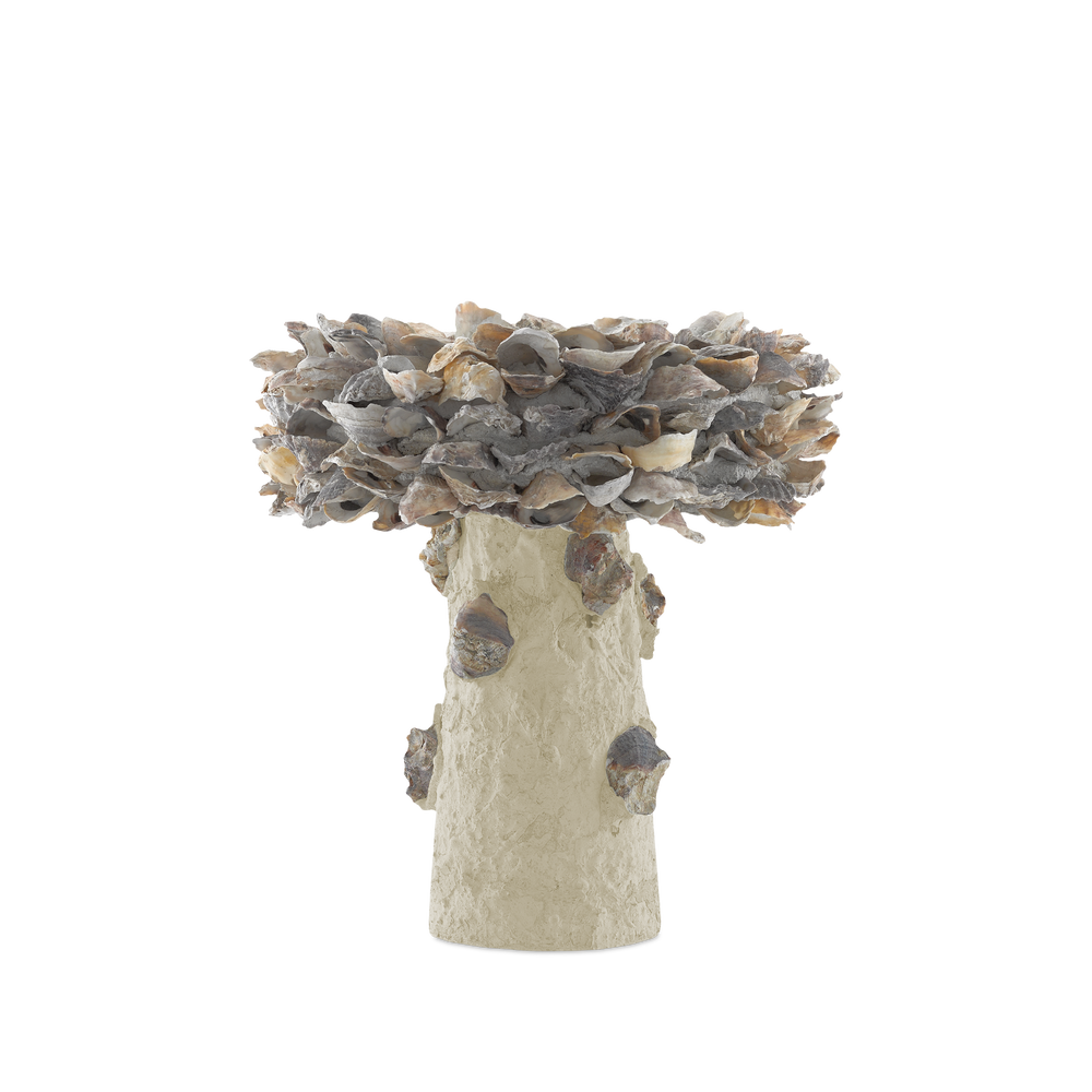 Oyster Shell Small Bird Bath.