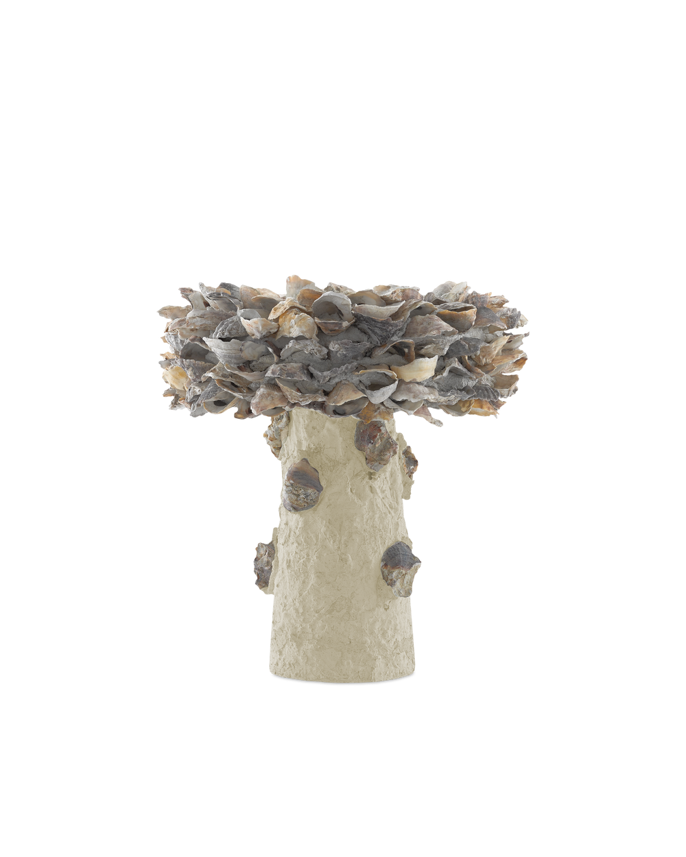 Oyster Shell Small Bird Bath.