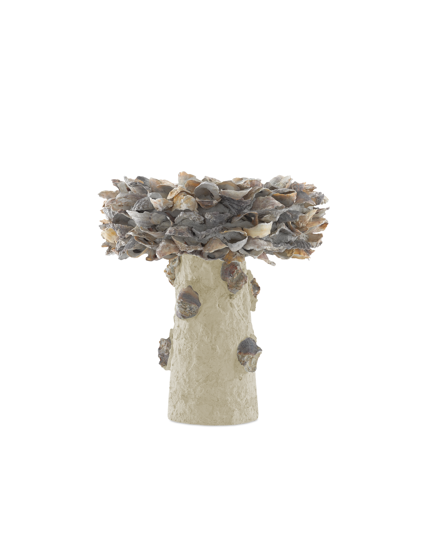 Oyster Shell Small Bird Bath.