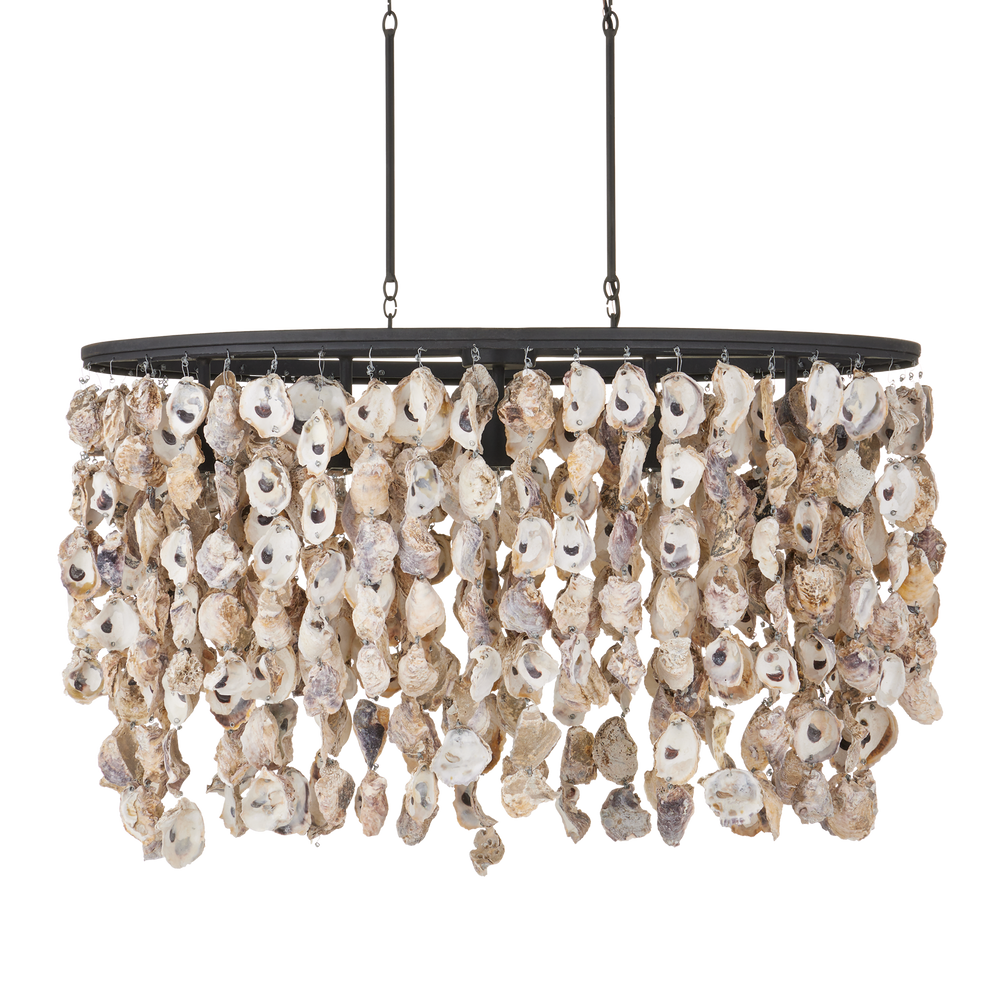 
                      
                        Stillwater Oyster Shell Oval Chandelier
                      
                    