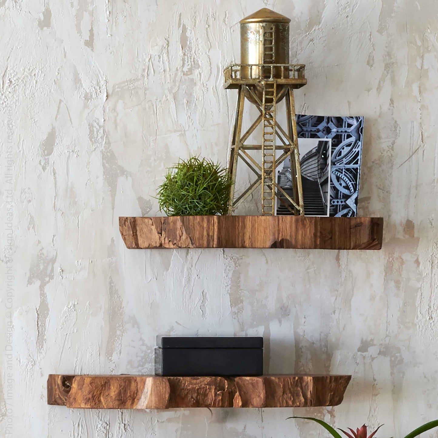 Takara™ live edge shelf 20 x 10 in. (set of 2) - #shop_name