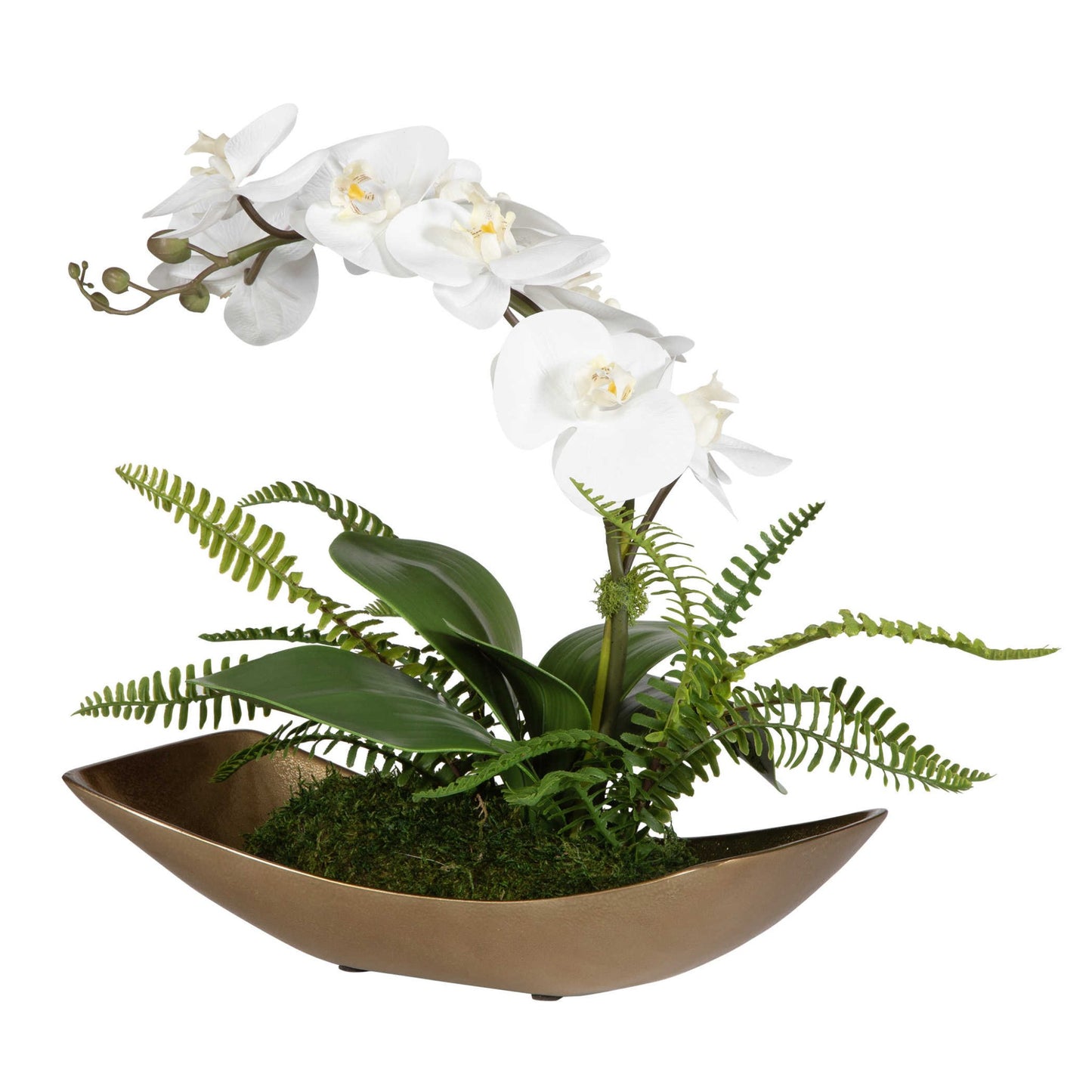 Transcend Orchid - #shop_name Accessories, Accent Decor