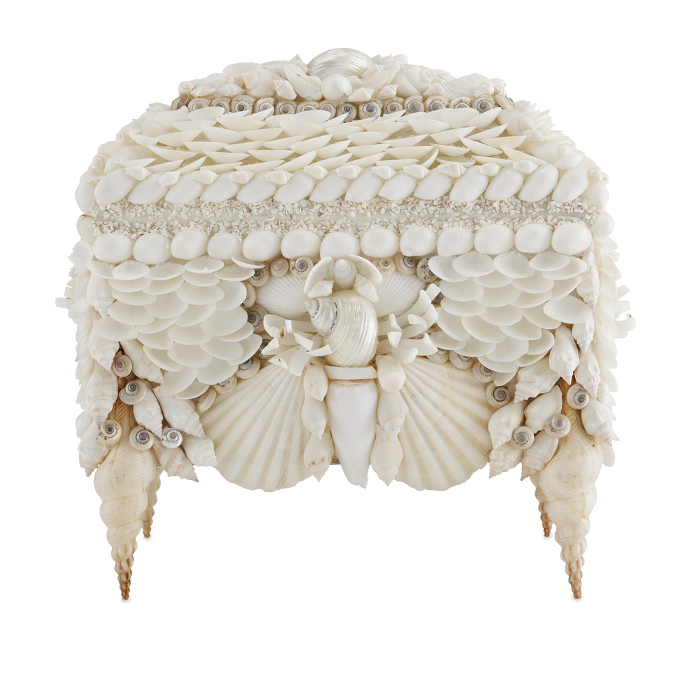 
                      
                        Boardwalk White Shell Jewelry Box.
                      
                    