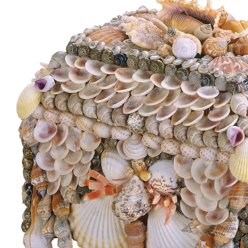 Boardwalk Natural Shell Jewelry Box.