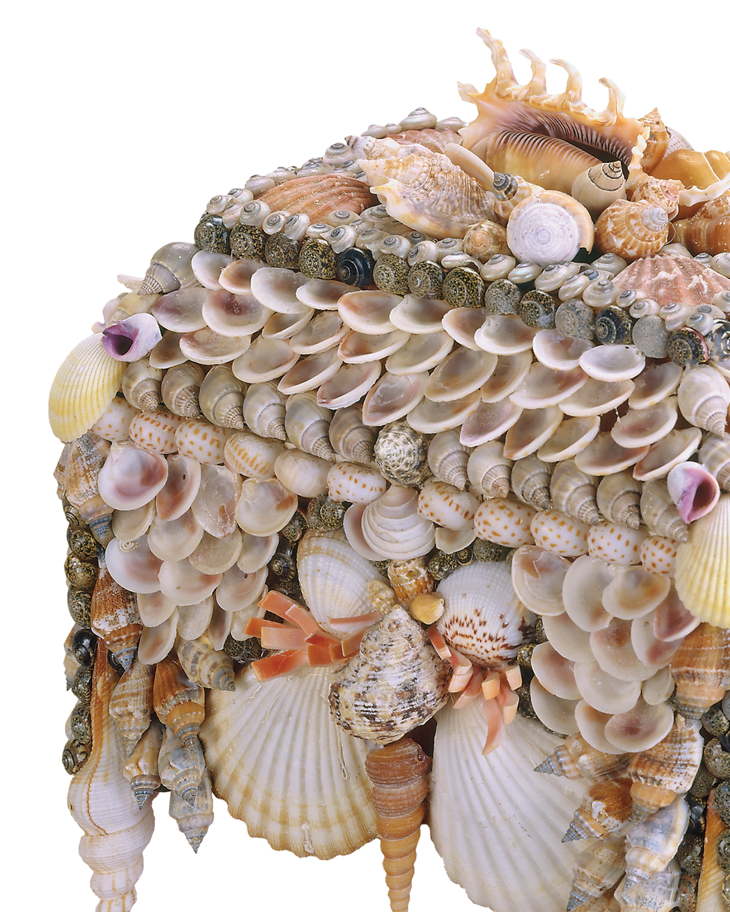 Boardwalk Natural Shell Jewelry Box.