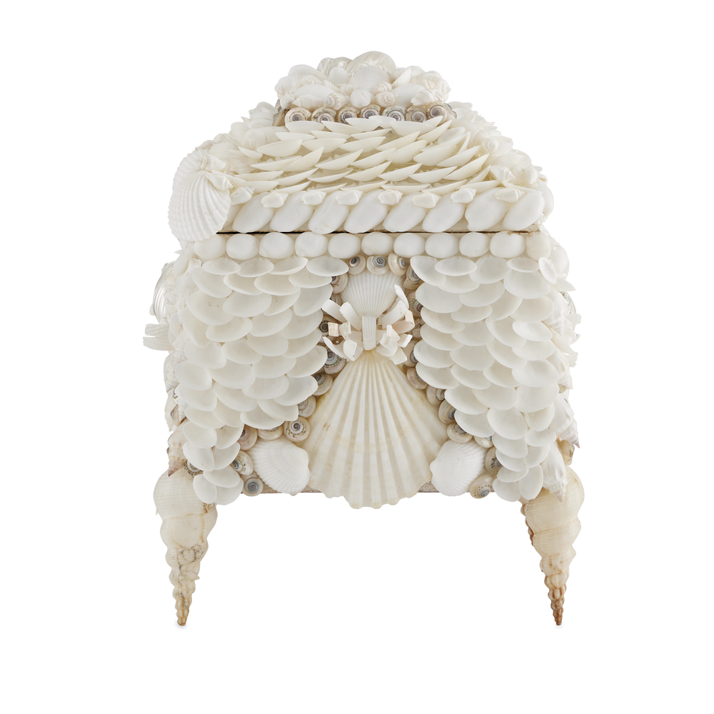 
                      
                        Boardwalk White Shell Jewelry Box.
                      
                    