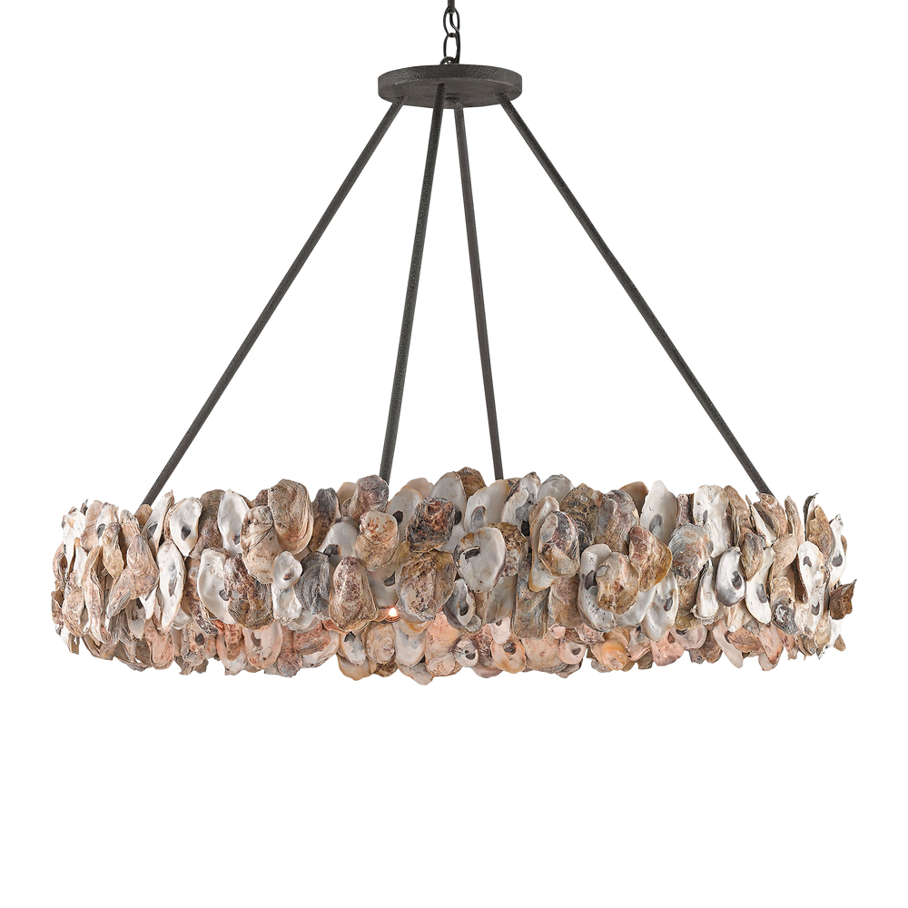 Oyster Shell Chandelier