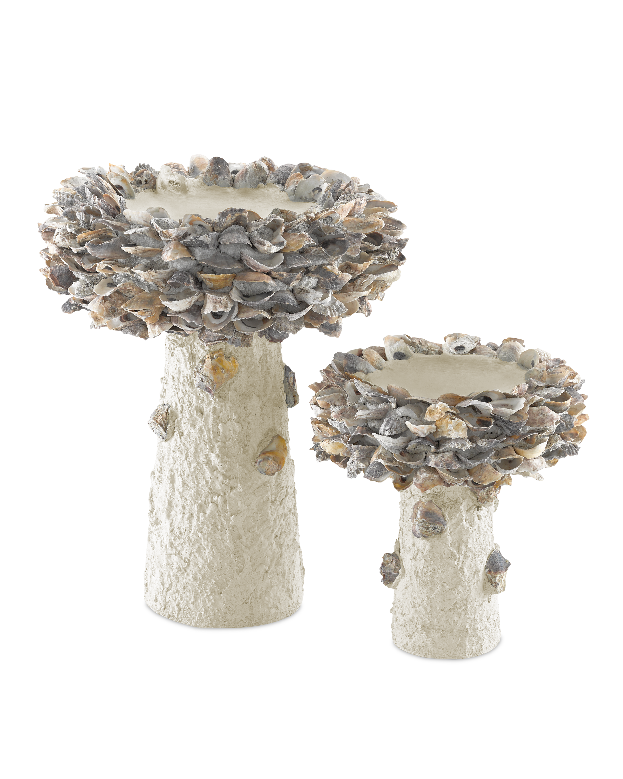 Oyster Shell Medium Bird Bath - Thumbnail 4