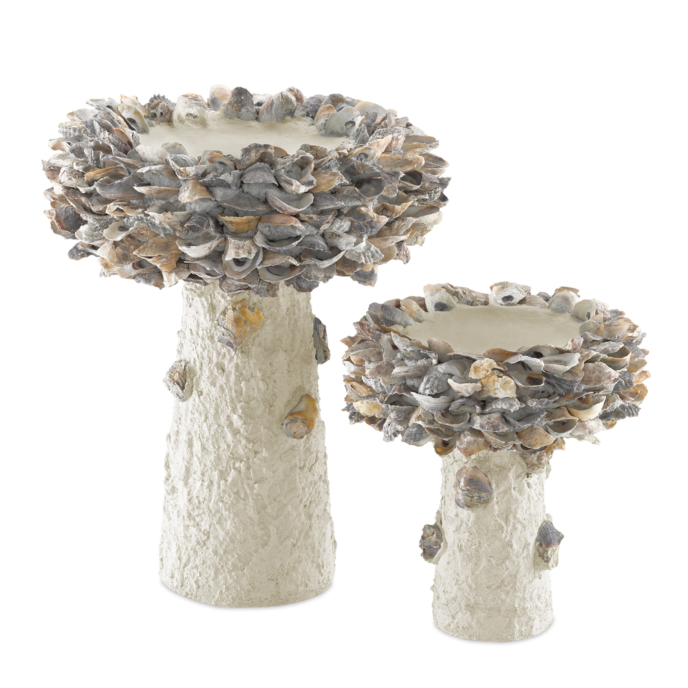 
                      
                        Oyster Shell Medium Bird Bath.
                      
                    