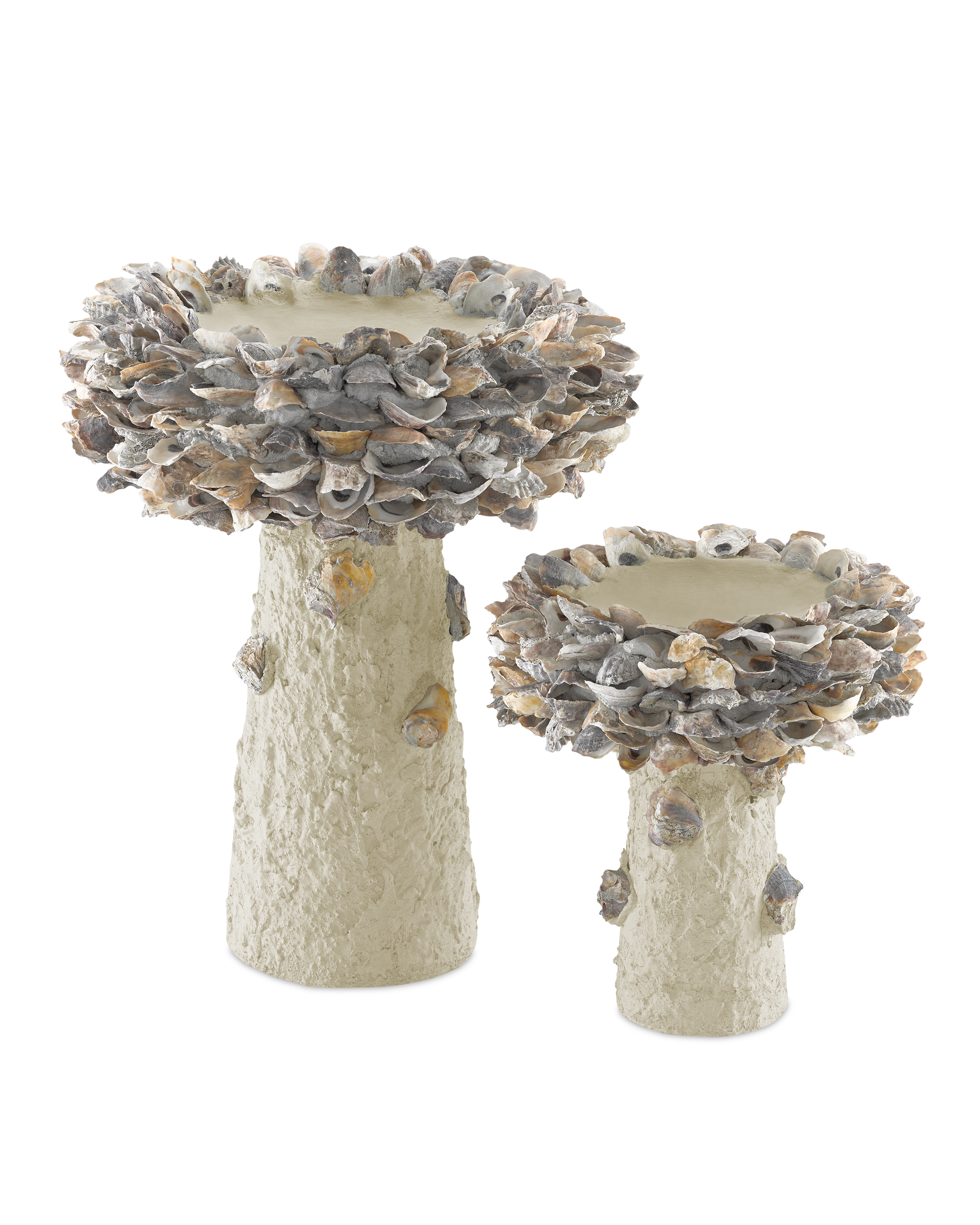 Oyster Shell Small Bird Bath - Thumbnail 4