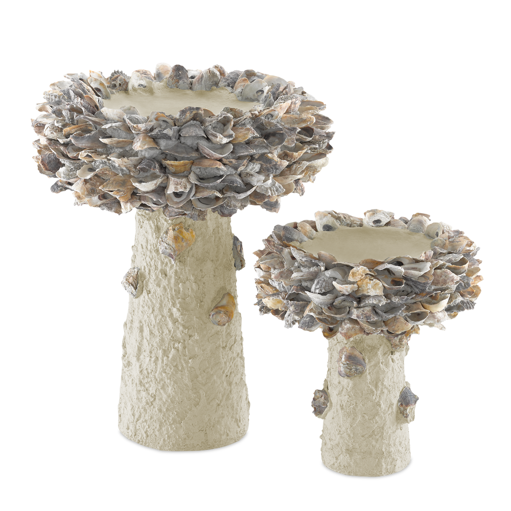 
                      
                        Oyster Shell Small Bird Bath.
                      
                    