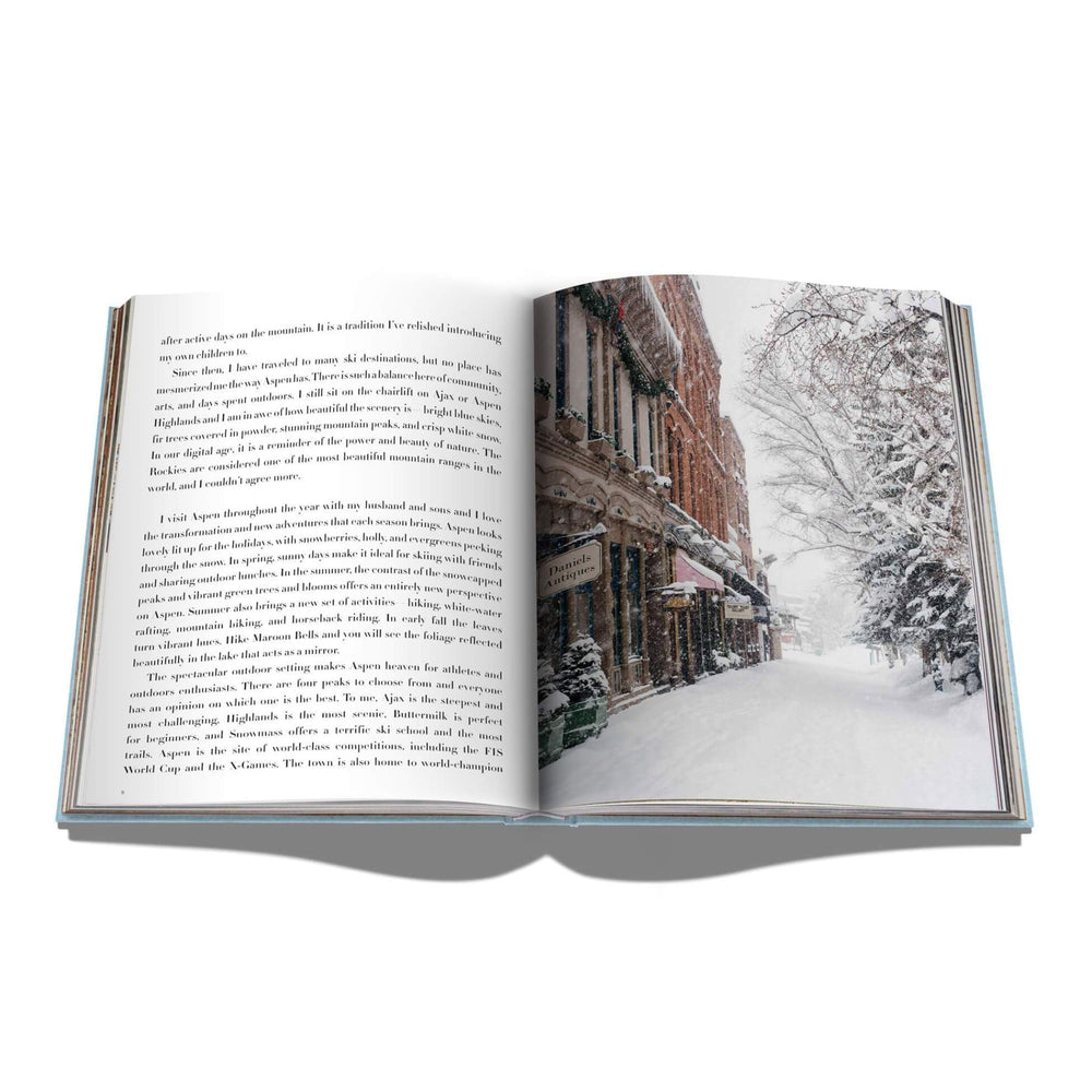 
                      
                        Aspen Style - #shop_name Accessory
                      
                    