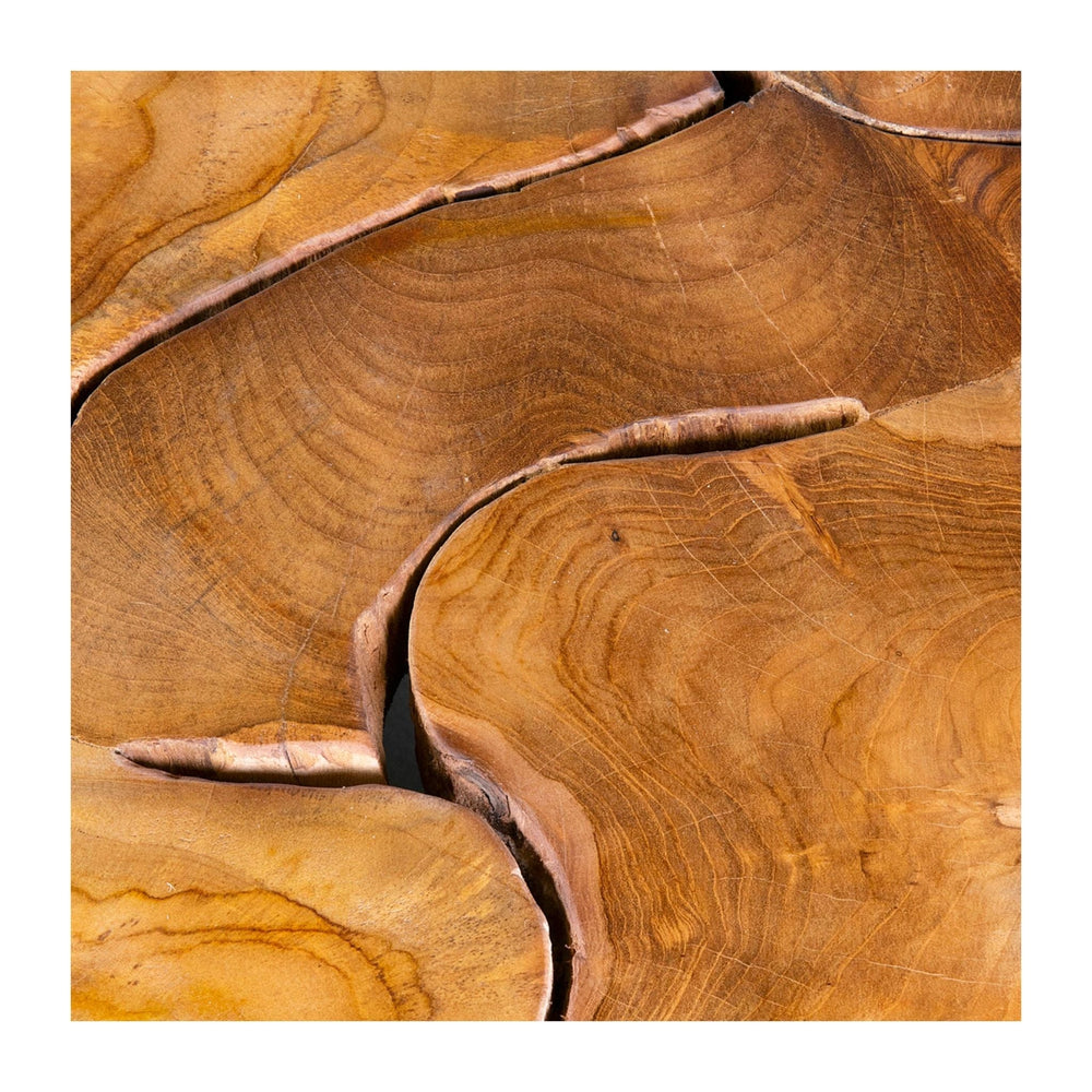 
                
                    Load image into Gallery viewer, Burl Organic Coffee Table - #shop_name Coffee Table
                
            