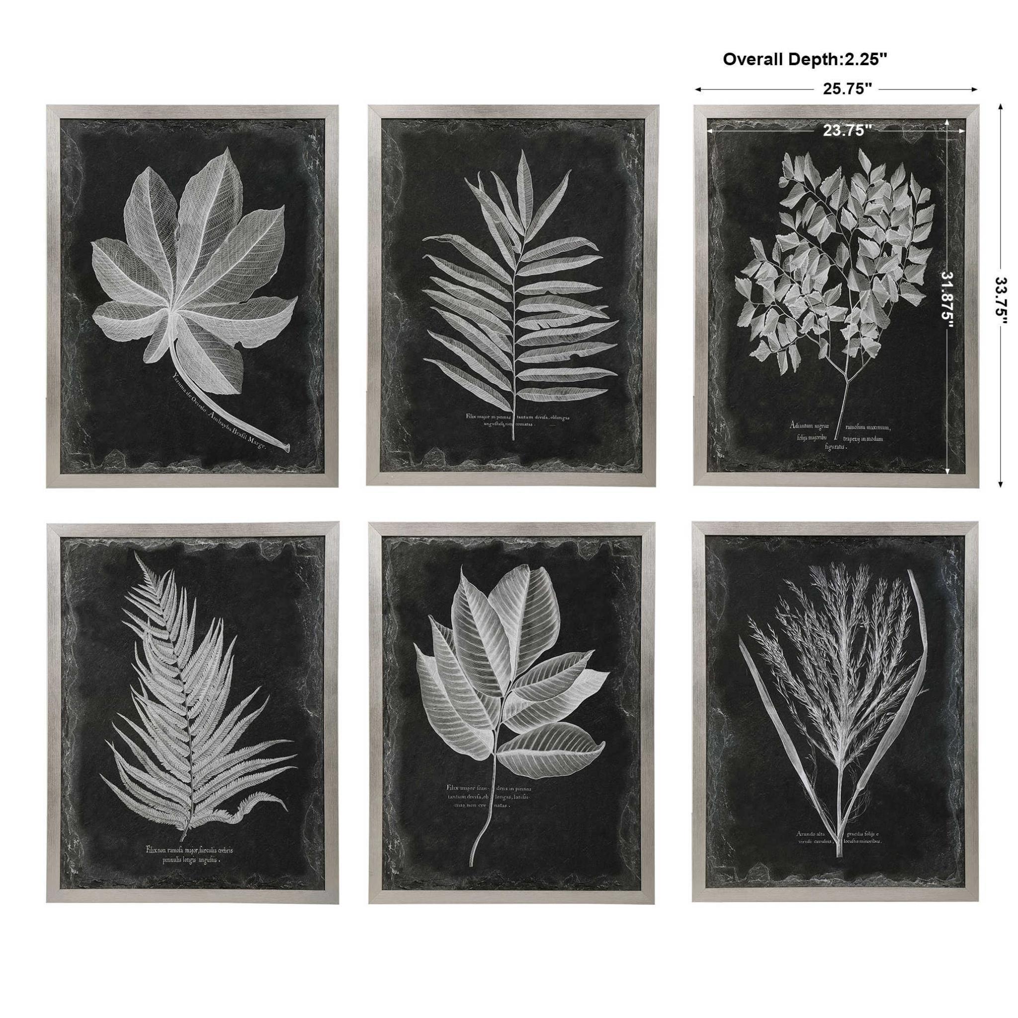 Uttermost Foliage Framed Prints - Thumbnail 4