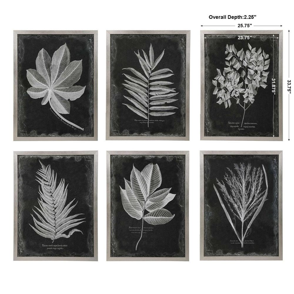 
                      
                        Foliage Framed Prints, S/6 - #shop_name Decor
                      
                    