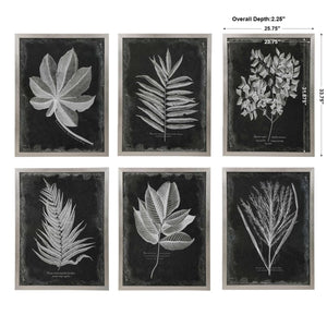 Foliage Framed Prints, S/6 - #shop_name Decor