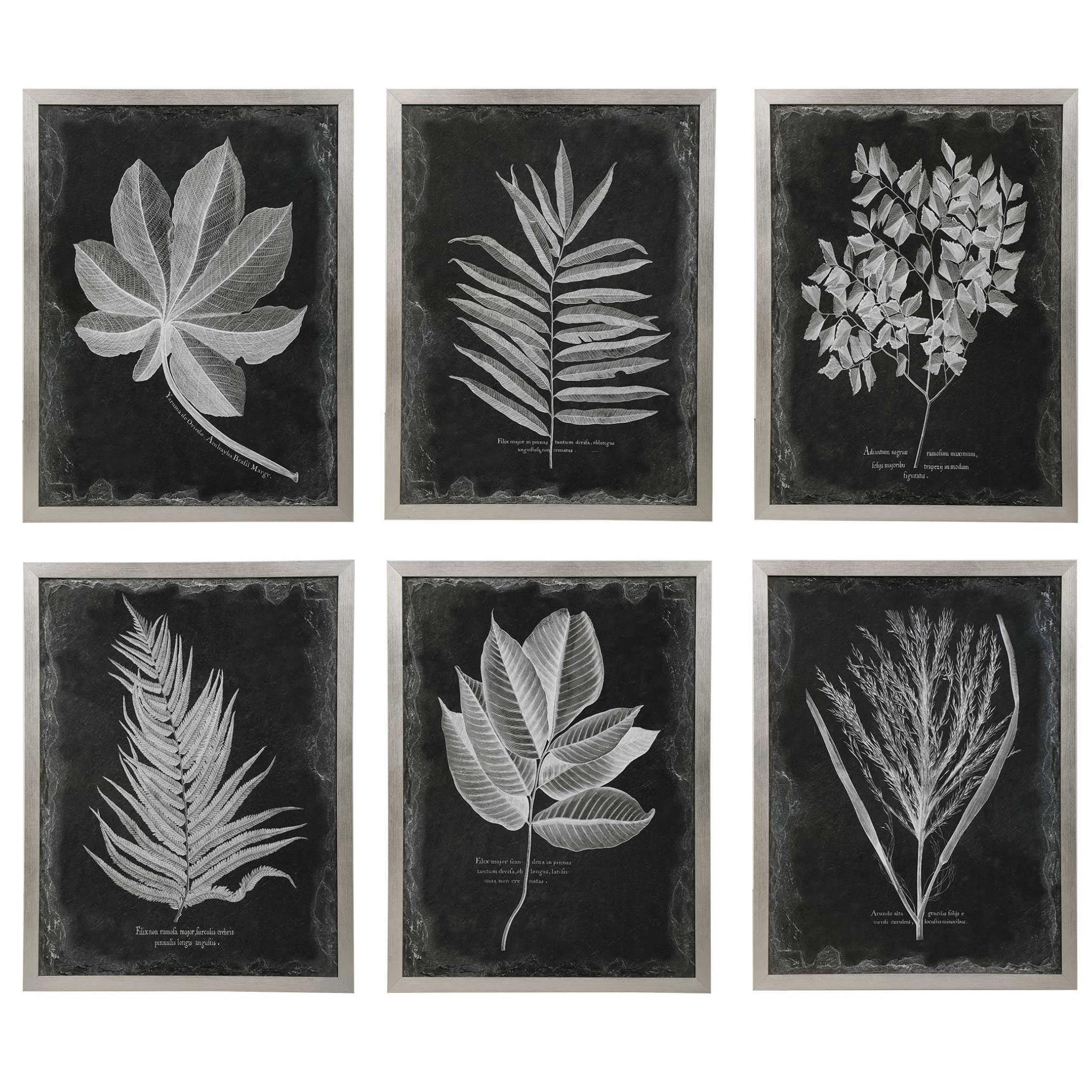 Uttermost Foliage Framed Prints - Thumbnail 2