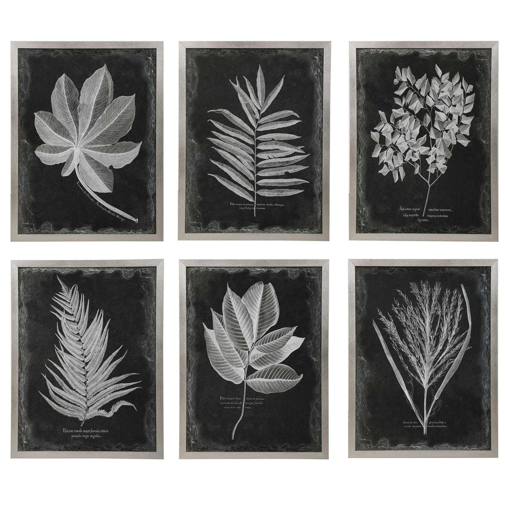 Foliage Framed Prints, S/6 - #shop_name Decor