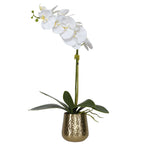 Forever Fresh Orchid in Hammered Brass Vase - #shop_name Accessory