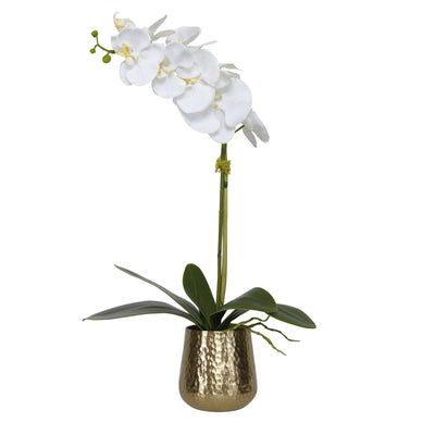 Forever Fresh Orchid in Hammered Brass Vase