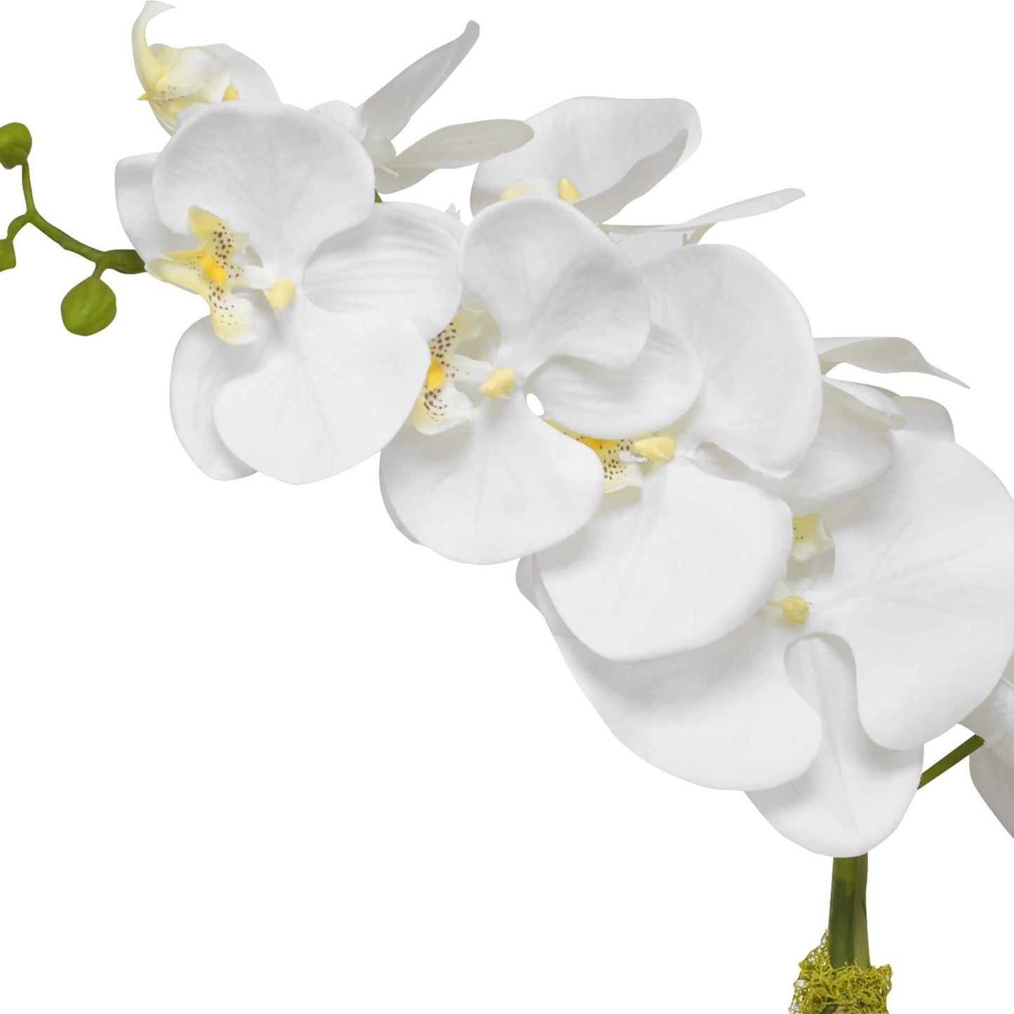 Forever Fresh Orchid in Hammered Brass Vase - #shop_name Accessory