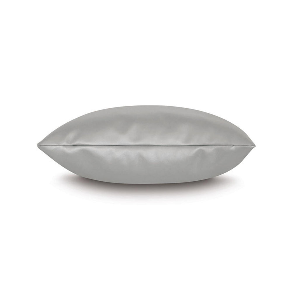 
                      
                        Klein Vegan Leather Decorative Pillow in Sterling - #shop_name Pillows
                      
                    