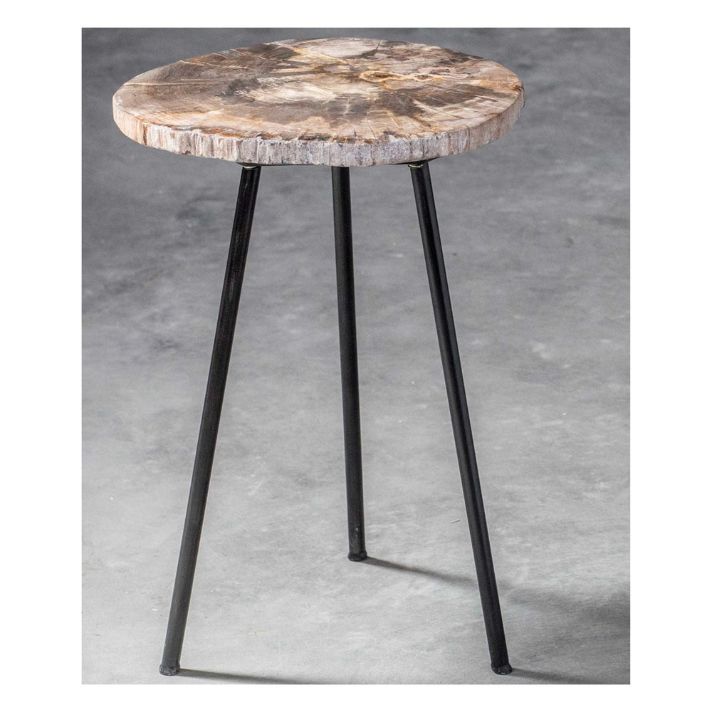 
                      
                        Mircea Petrified Wood Accent Table - #shop_name Accent Table
                      
                    