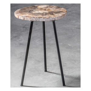 Mircea Petrified Wood Accent Table - #shop_name Accent Table