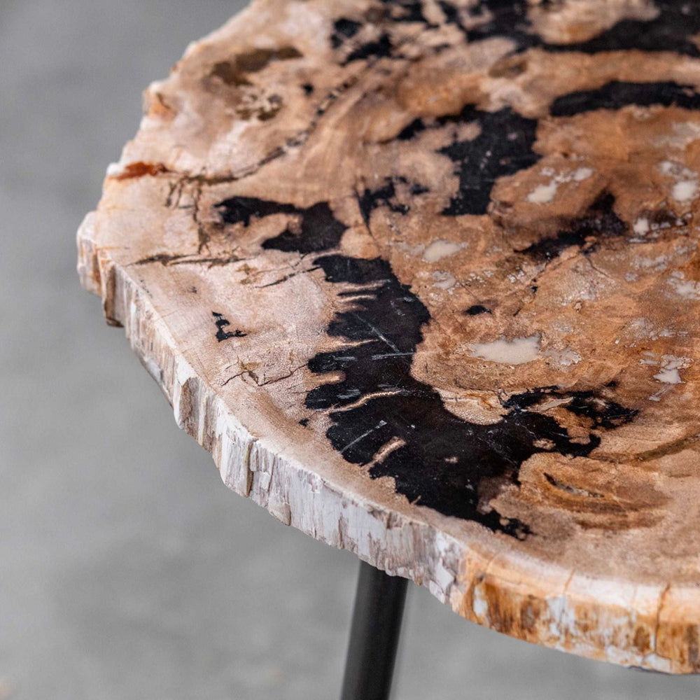
                      
                        Mircea Petrified Wood Accent Table - #shop_name Accent Table
                      
                    