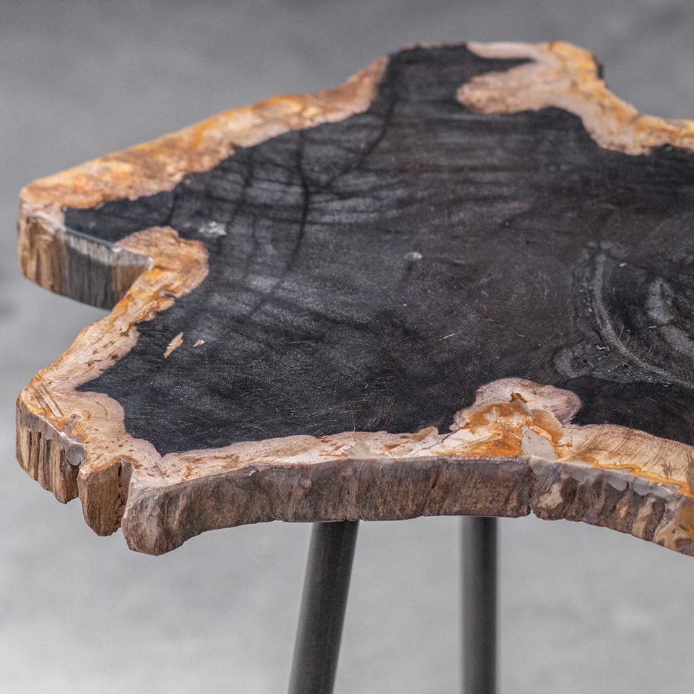 
                      
                        Mircea Petrified Wood Accent Table - #shop_name Accent Table
                      
                    