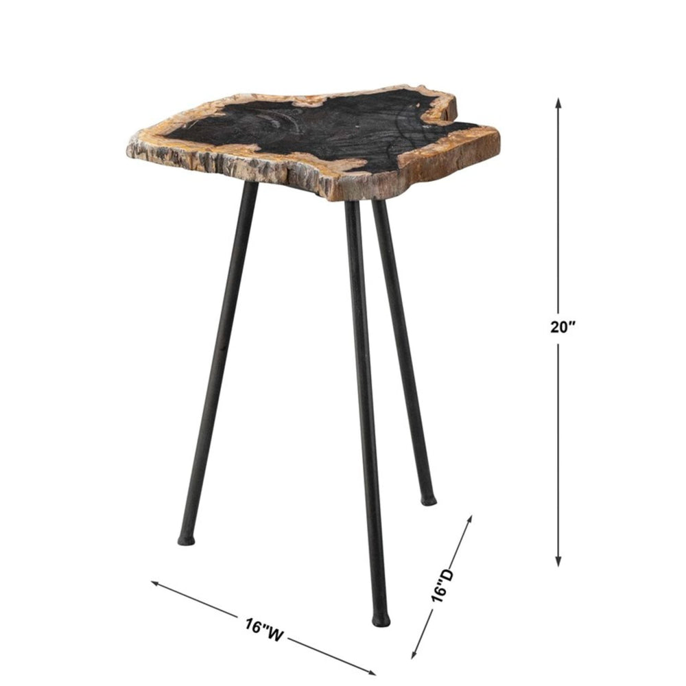 
                      
                        Mircea Petrified Wood Accent Table - #shop_name Accent Table
                      
                    