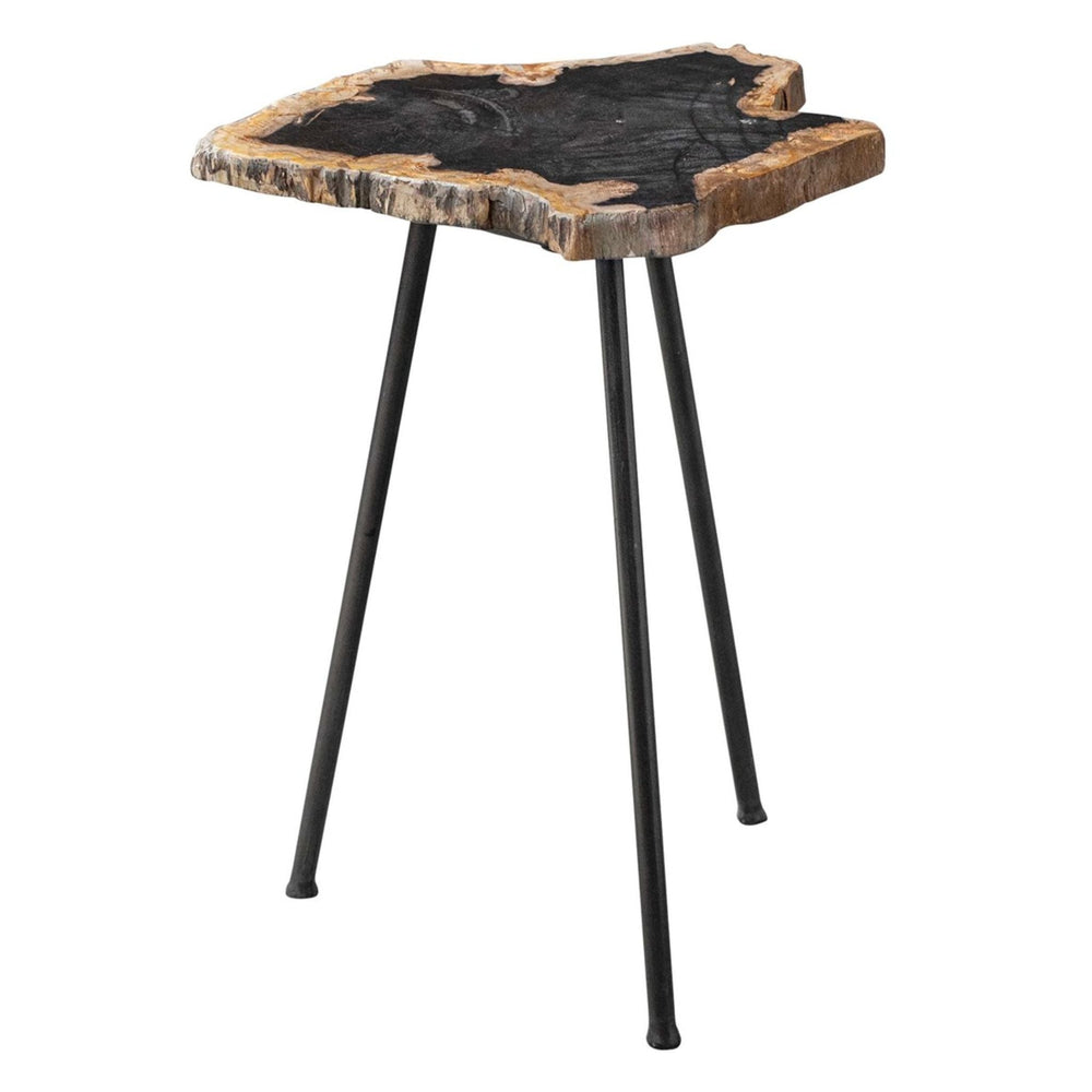 
                      
                        Mircea Petrified Wood Accent Table - #shop_name Accent Table
                      
                    