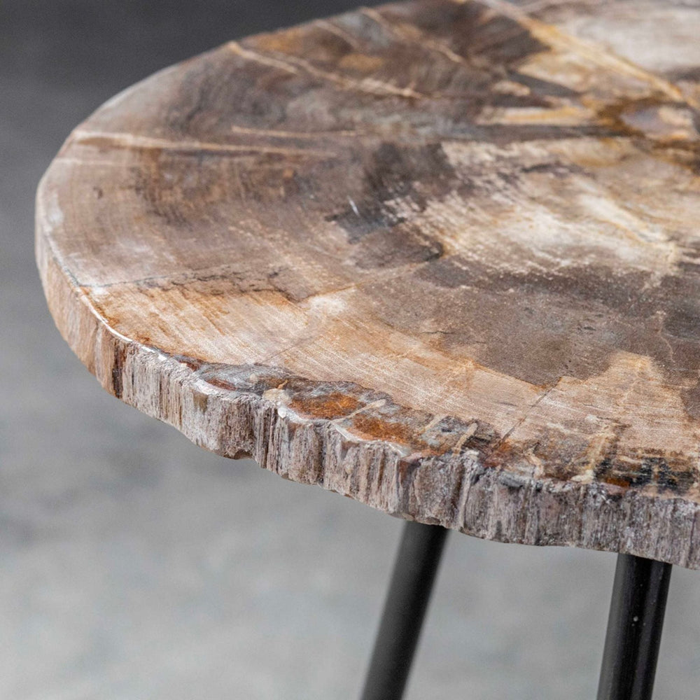 
                      
                        Mircea Petrified Wood Accent Table - #shop_name Accent Table
                      
                    
