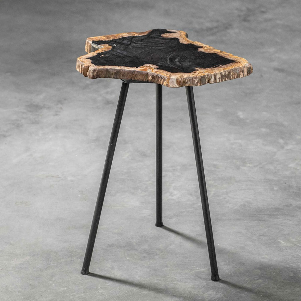 Mircea Petrified Wood Accent Table - #shop_name Accent Table
