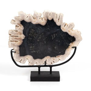 Petrified Wood Sculpture - Matte Black Iron - #shop_name Room DÃ©cor