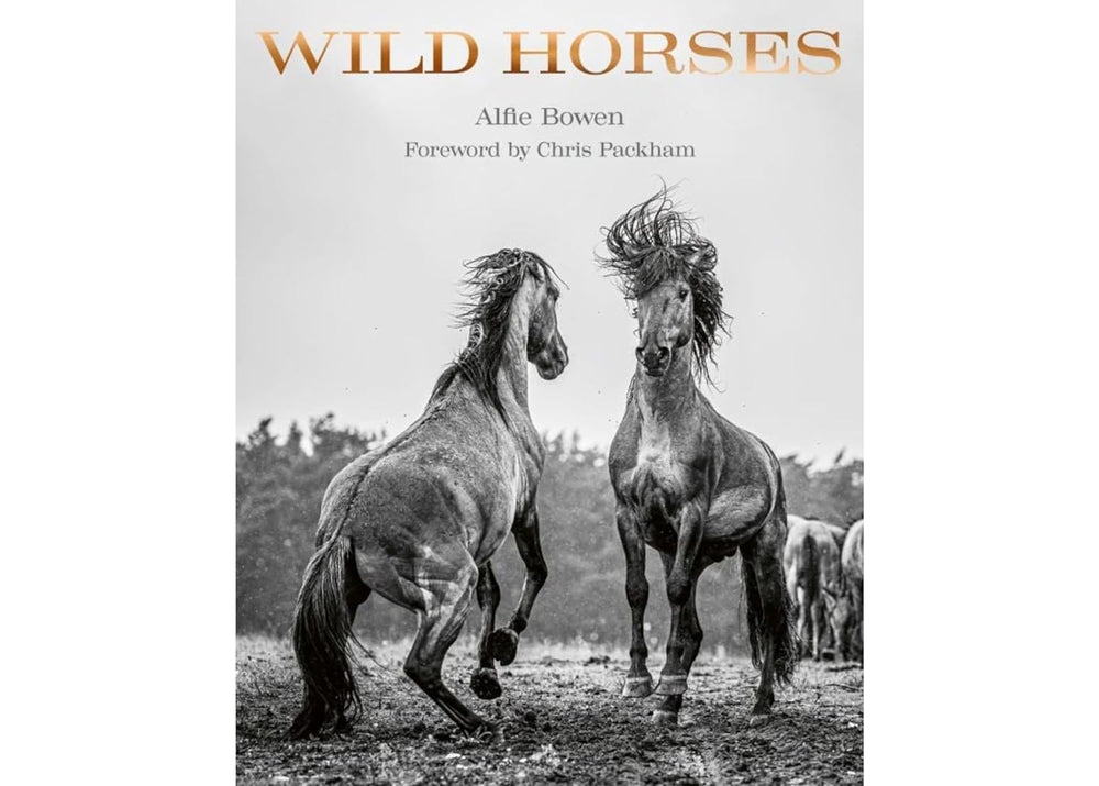 Wild Horses Book - #shop_name Book